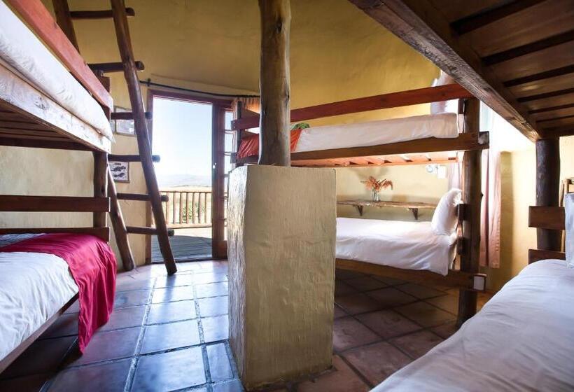 Кровать в Общей Комнате, Amphitheatre Backpackers Lodge