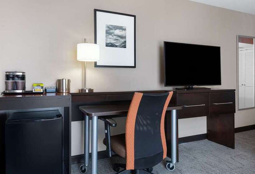 스탠다드 룸 킹사이즈 침대, Doubletree By Hilton Ann Arbor North