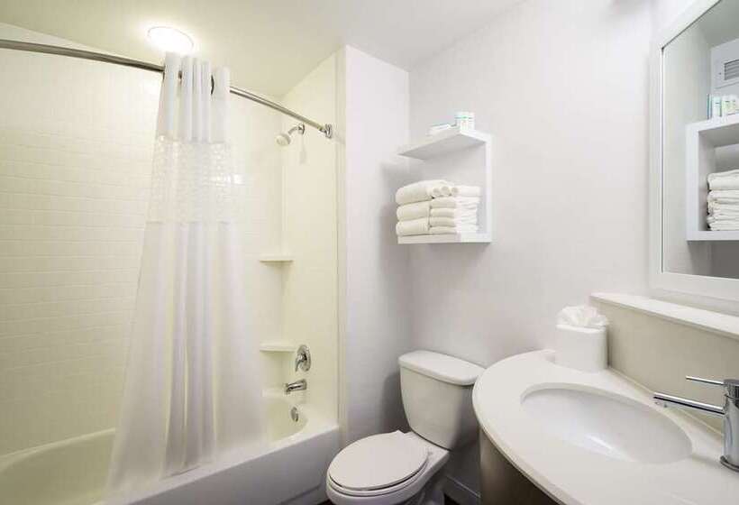 חדר סטנדרט עם מיטת קינג, Doubletree By Hilton Ann Arbor North