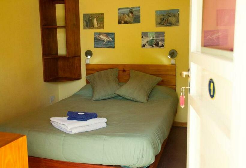 اتاق استاندارد با سرویس بهداشتی مشترک, La Tosca Hostel