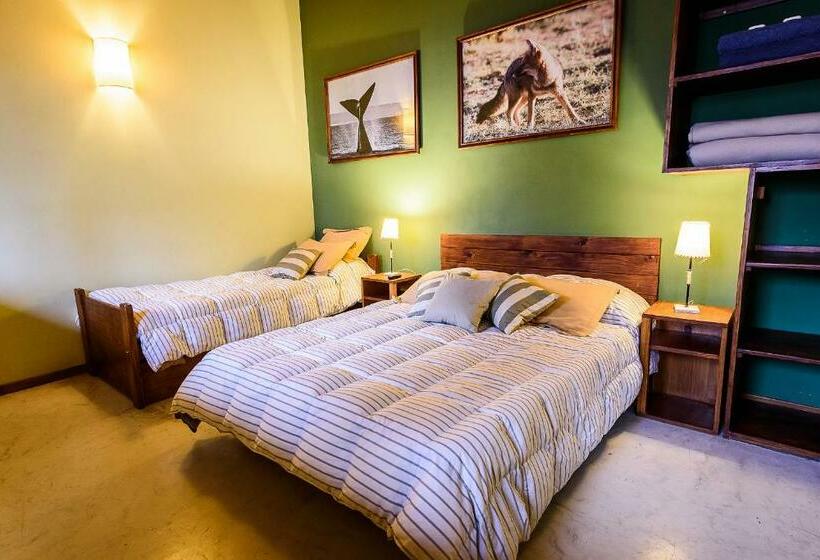 스탠다드 룸, La Tosca Hostel