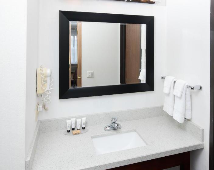 장애인을 위한 스탠다드 룸, Red Lion Inn & Suites Auburn