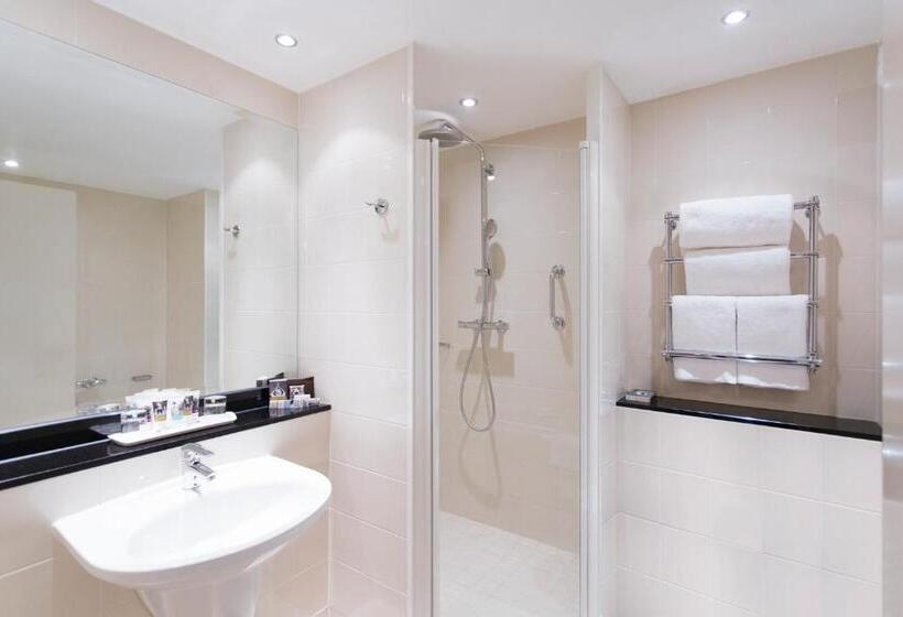 Полулюкс, Mercure Sheffield St Paul S Hotel & Spa