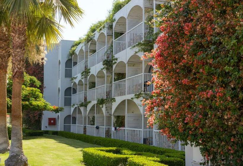 اتاق سوپریور سه تخته, Desert Rose Resort
