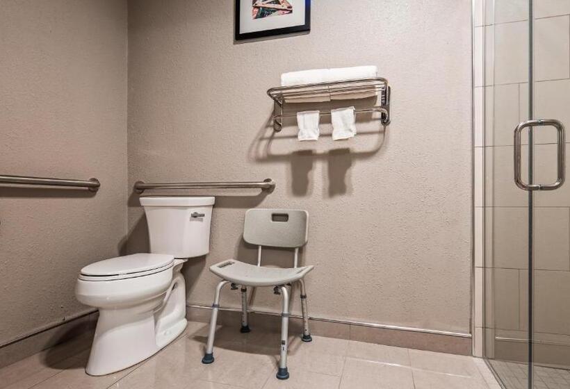 Camera Standard Letto King Accessibile ai persone con mobilità ridotta, Best Western Plus North Joliet