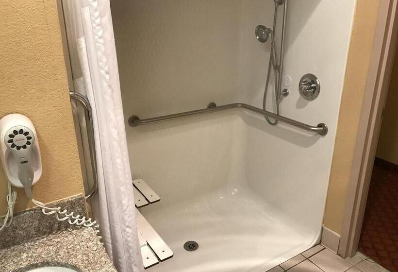 适合残疾人士使用的带超级大床的标准间, Holiday Inn Express Metropolis, An Ihg