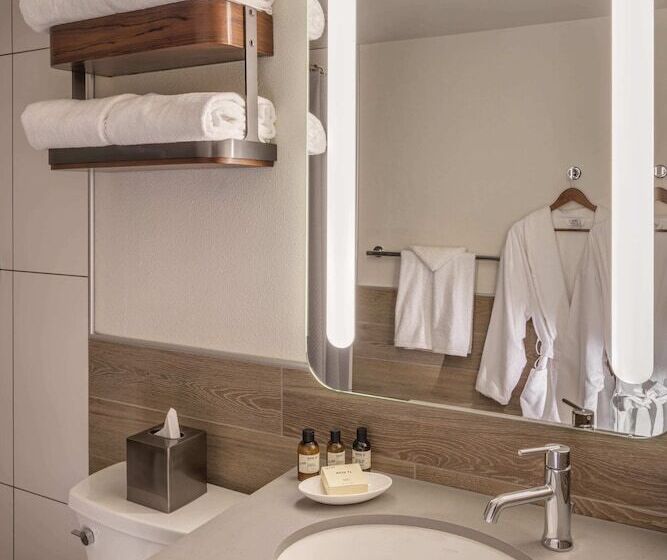 스탠다드 룸 퀸사이즈 침대, The Wildbirch Hotel - JdV by Hyatt