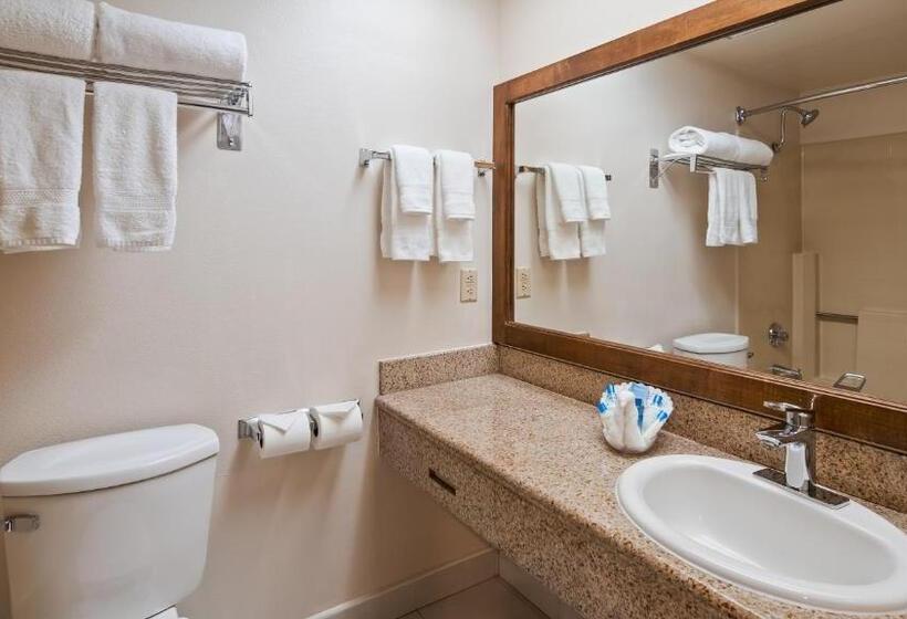Стандартный Номер Кровать Кинг, Best Western Plus Palm Desert Resort