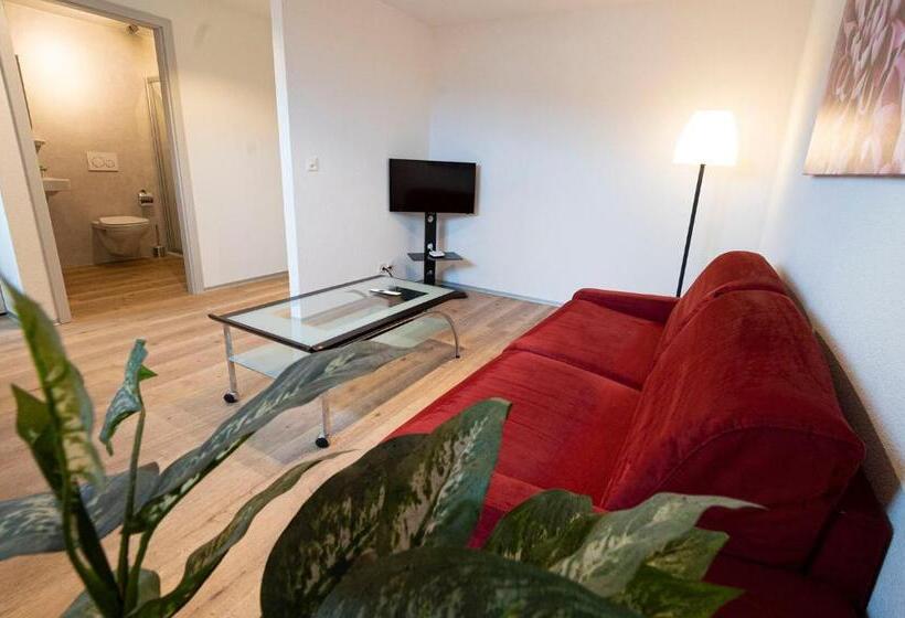 Номер Стандарт, Hôtel Bellavista Bellevue