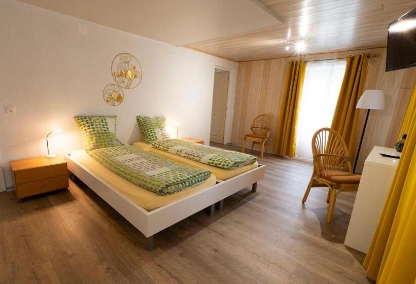 Номер Стандарт, Hôtel Bellavista Bellevue