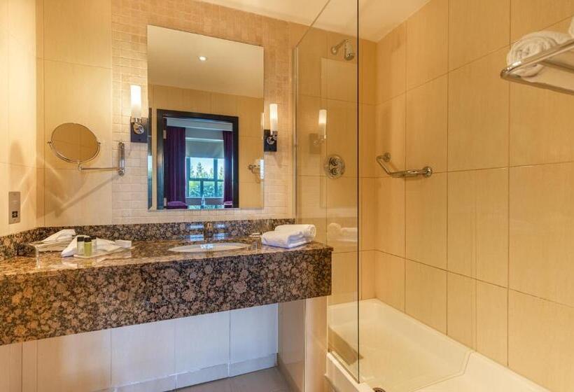 اتاق استاندارد, Carlton Hotel Dublin Airport