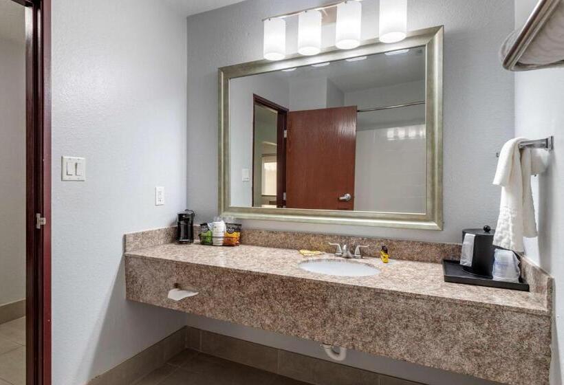 Номер Стандарт Адаптированный для Инвалидов, Best Western Plus Orange County