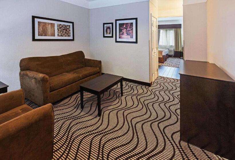 اتاق استاندارد با تخت بزرگ برای معلولان, La Quinta By Wyndham Pasadena