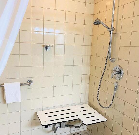 스탠다드 룸 킹사이즈 침대, Quality Inn & Suites Sequim At Olympic National Park