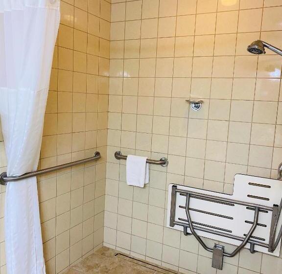 غرفة قياسية سرير كينج, Quality Inn & Suites Sequim At Olympic National Park