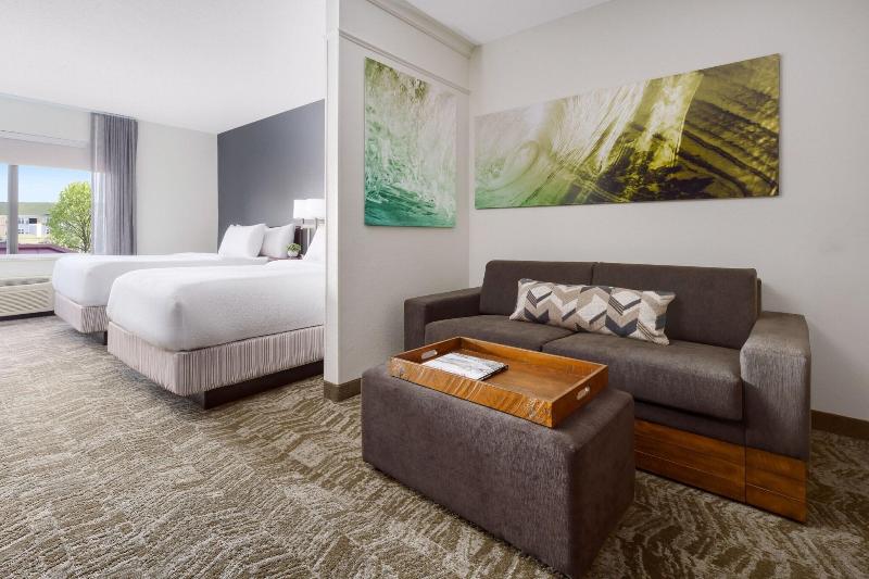 Номер Стандарт, Microtel Inn & Suites By Wyndham Gardendale
