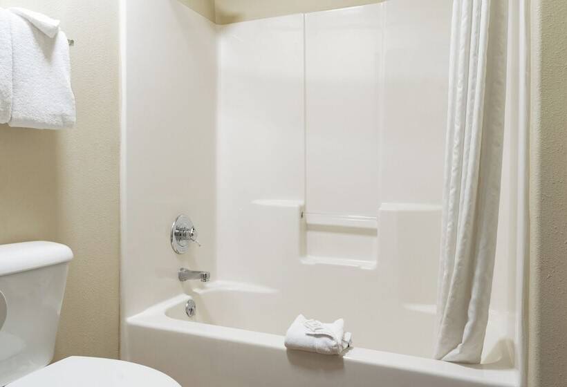 Номер Стандарт 2 Двуспальные Кровати, Pinedale Hotel & Suites