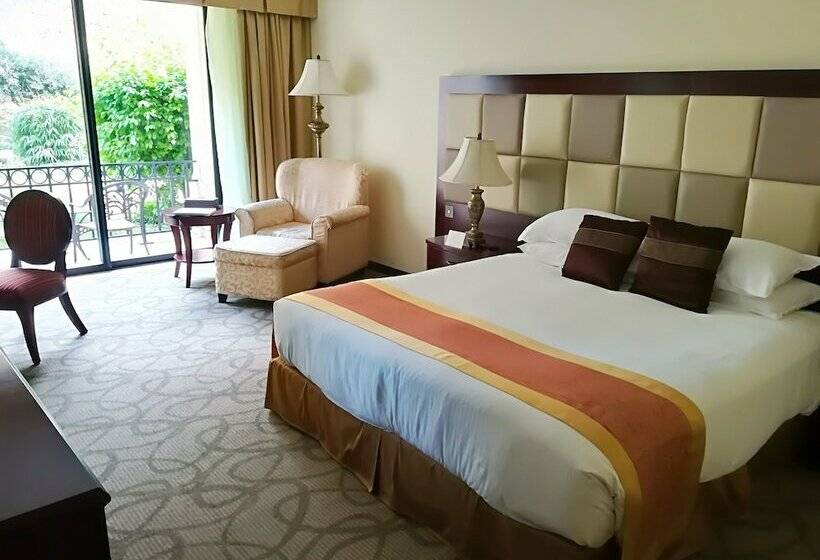 Номер Deluxe Вид на Сад, Grand Hotel Excelsior