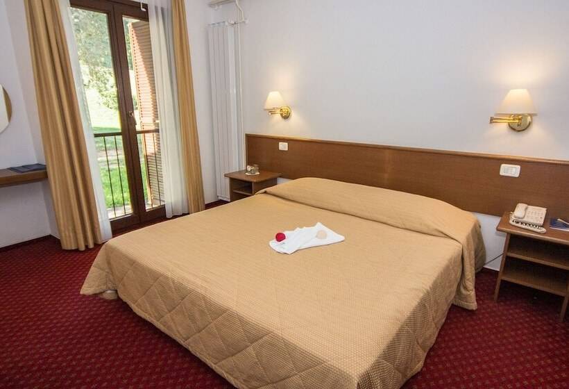 غرفة قياسية فردية, Vile Park