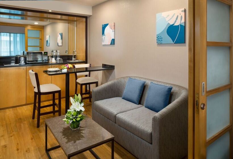 استودیوی استاندارد, Savoy Suites Hotel Apartment   Newly Renovated