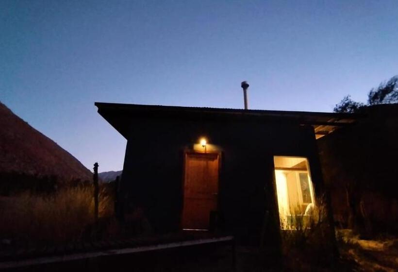 Семейное Бунгало, Reset Elqui
