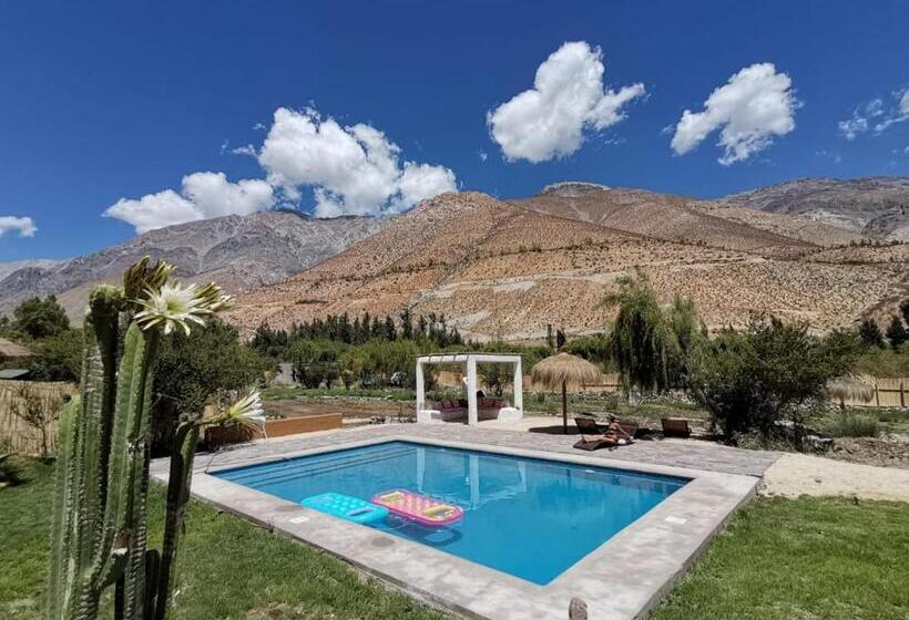 Семейное Бунгало, Reset Elqui