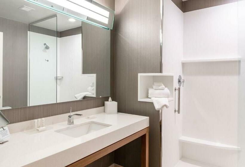 Стандартный Номер Кровать Кинг, Courtyard By Marriott Salt Lake City Cottonwood