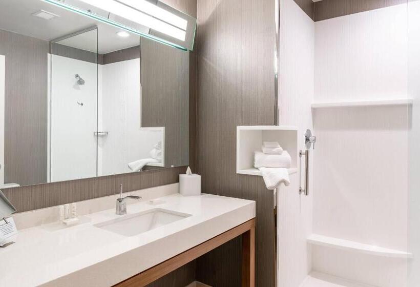 Люкс Кровать Кинг, Courtyard By Marriott Salt Lake City Cottonwood