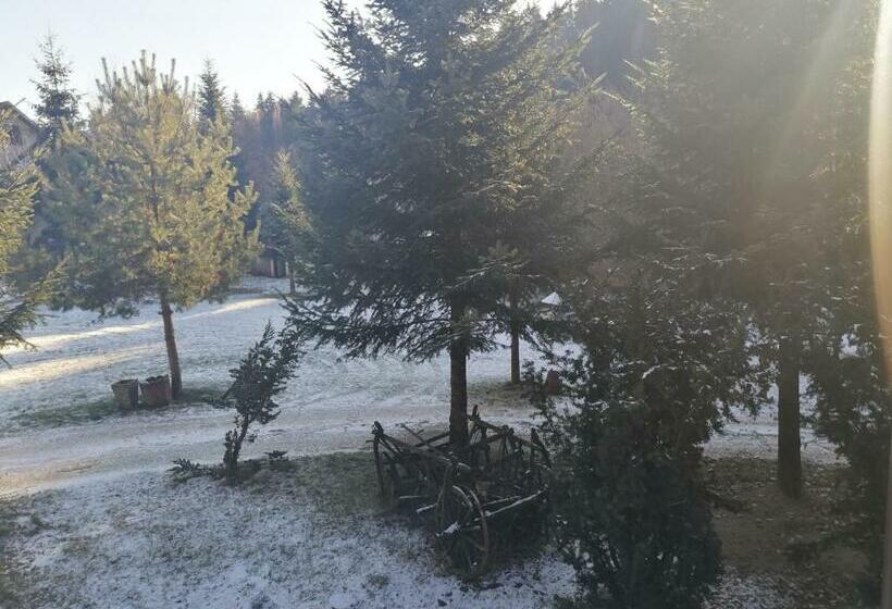 Номер Стандарт, Pensiunea Perla Maramuresului