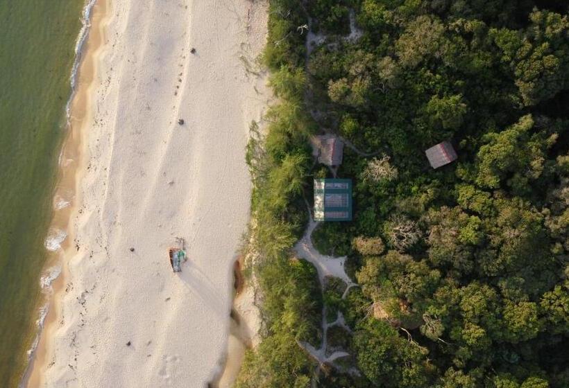 共用房间的床, Kactus Eco Resort & Wellness On Kohtakiev Island