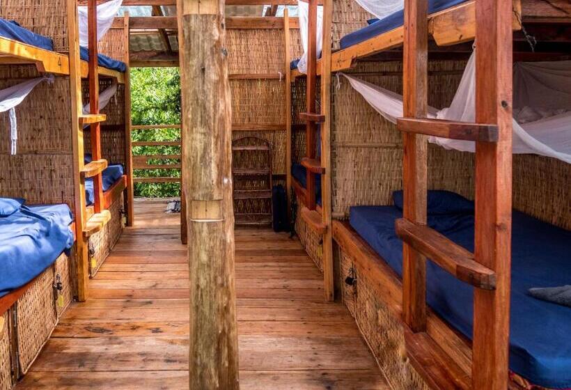 共用房间的床, Kactus Eco Resort & Wellness On Kohtakiev Island