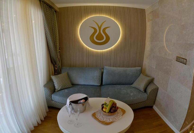 スイート, Arden City Hotel Special Category