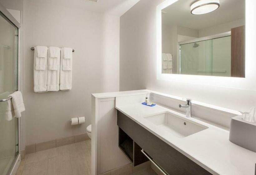 Стандартный Номер Кровать Кинг, Holiday Inn Express & Suites Blythe, An Ihg