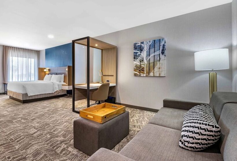 Люкс, Springhill Suites By Marriott Anaheim Placentia Fullerton