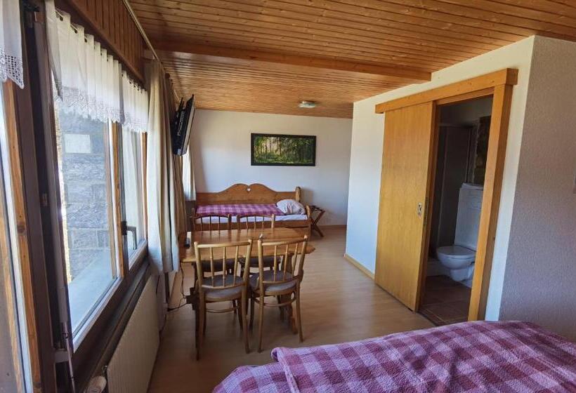 Семейный Номер, Auberge La Tzoumaz
