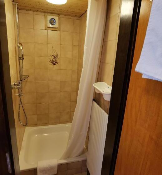 Одноместный Номер Basic, Auberge La Tzoumaz
