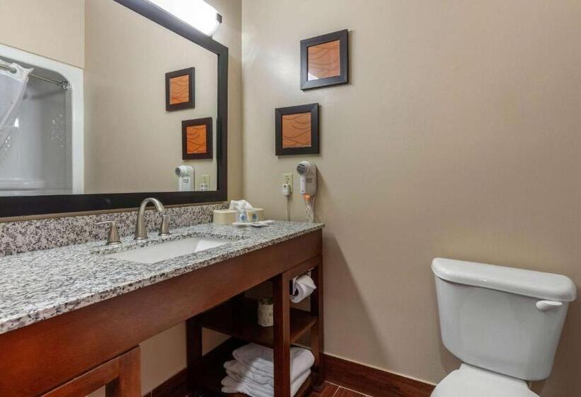 Люкс Кровать Кинг, Comfort Suites