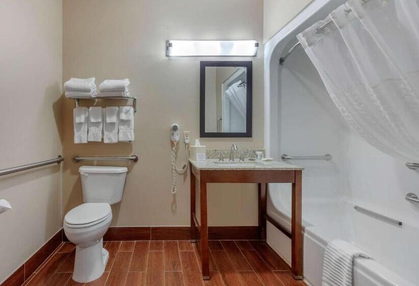 Люкс Адаптированный для Инвалидов, Comfort Suites
