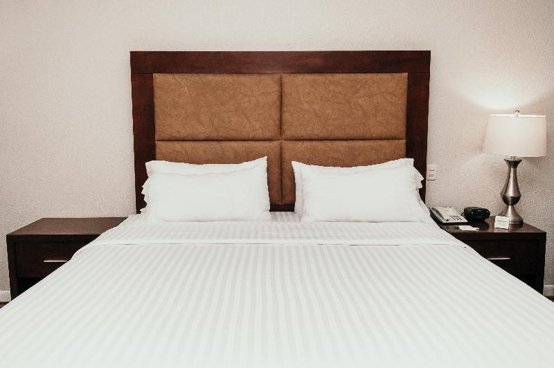 Chambre Standard Lit King Size, Holiday Inn Durango, An Ihg