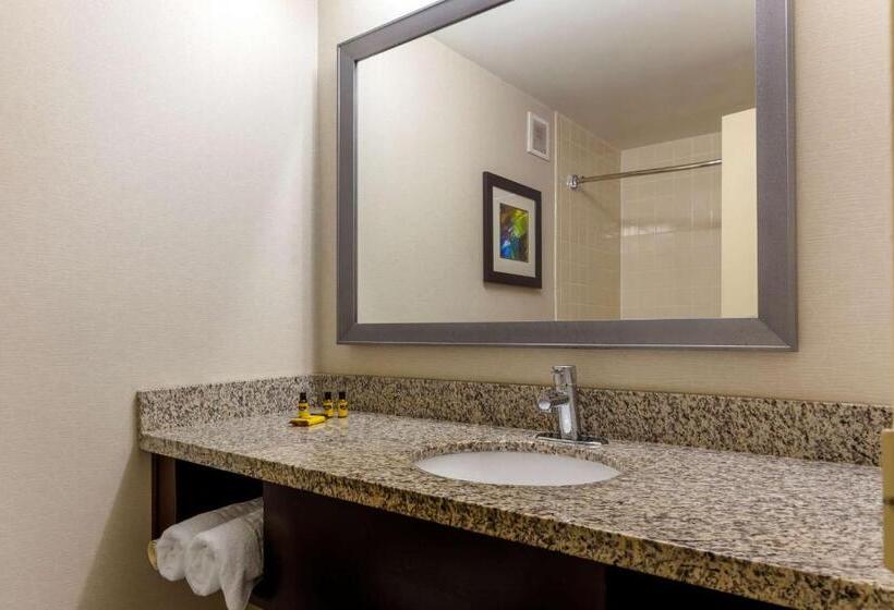 Люкс Кровать Кинг, Best Western Plus Cary   Nc State