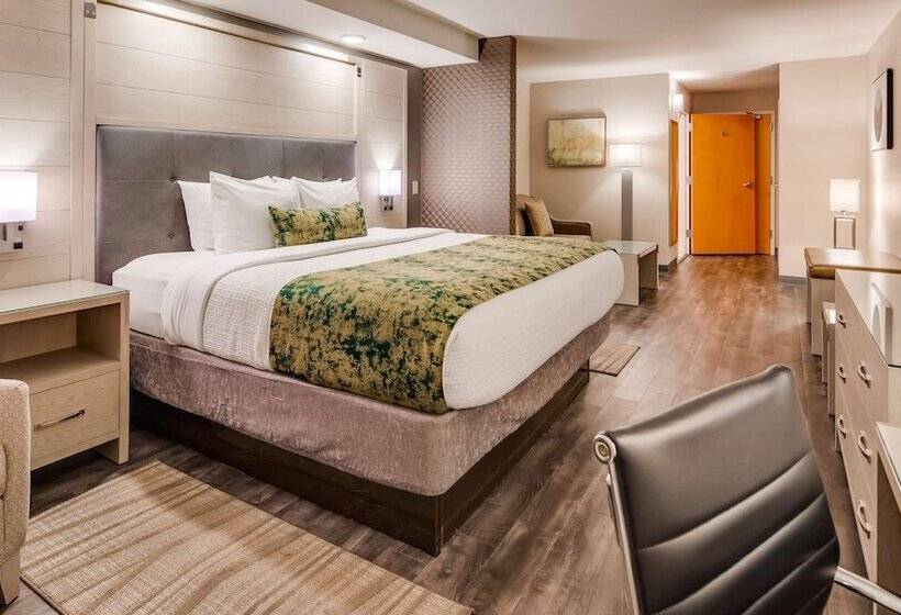 Люкс, Best Western Premier I95 Savannah Airport/ Pooler West
