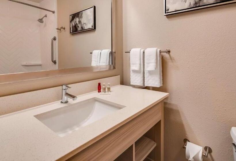 Номер Стандарт Кровать Кинг Адаптированный для Инвалидов, Best Western Premier I95 Savannah Airport/ Pooler West
