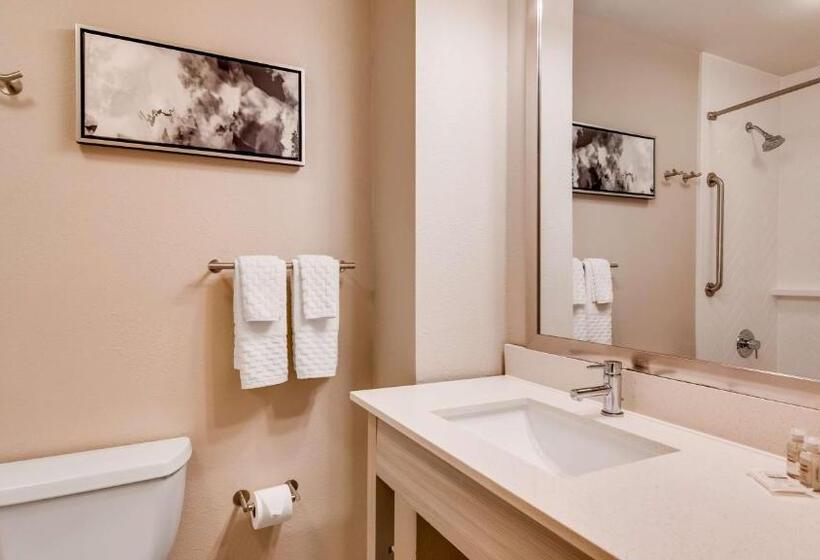 Люкс Кровать Кинг, Best Western Premier I95 Savannah Airport/ Pooler West