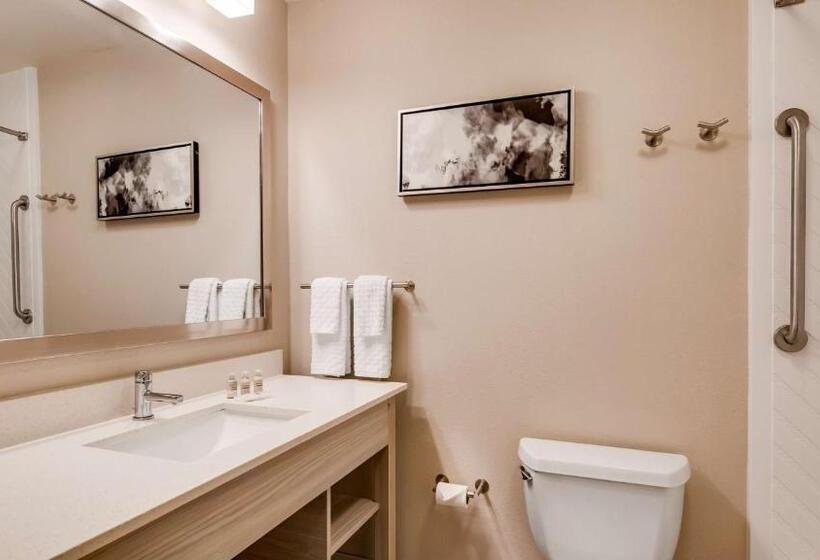 Номер Стандарт Адаптированный для Инвалидов, Best Western Premier I95 Savannah Airport/ Pooler West