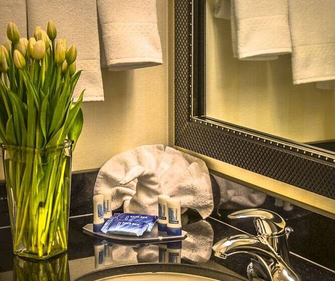 标准工作室, Fairfield Inn & Suites Washington Dc
