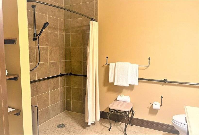 Люкс Адаптированный для Инвалидов, Granduca Houston