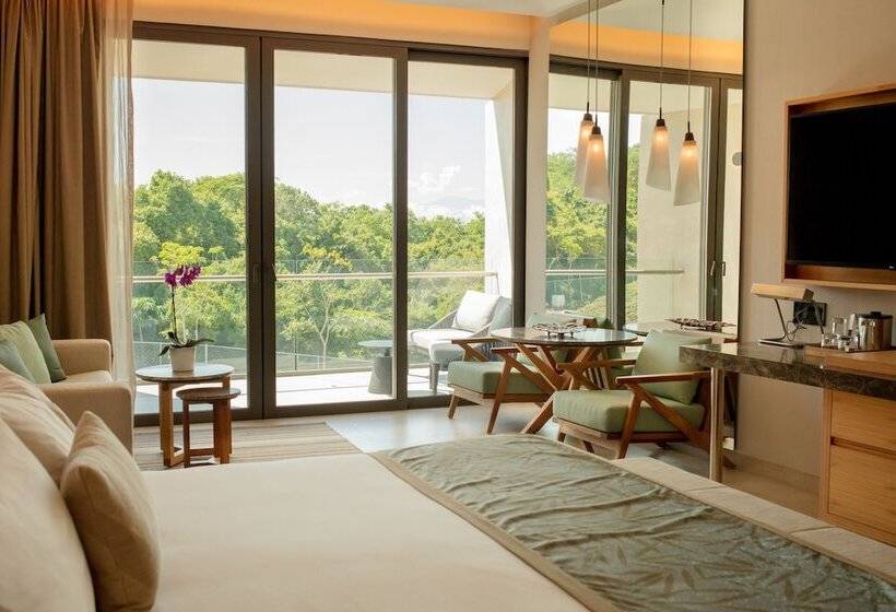 景色の見えるジュニアスイート, Dreams Bahia Mita Surf And Spa   All Inclusive