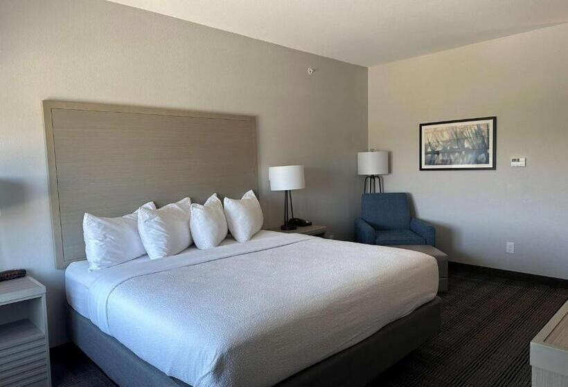 스탠다드 룸 킹사이즈 침대, Best Western Plus Chandler