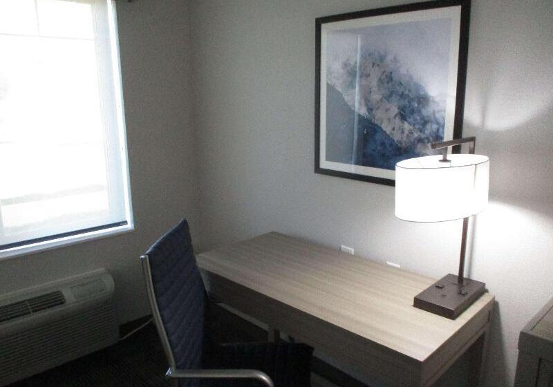 장애인을 위한 스탠다드 룸, Best Western Plus Chandler