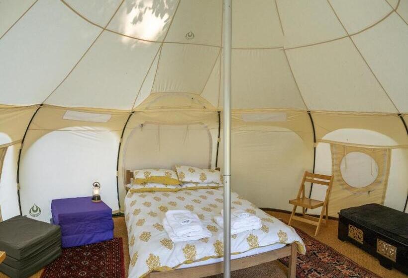 Standard Tent, Croydon Hall